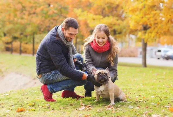 The best for your dog