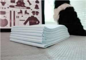 Almohadillas de entrenamiento desechables