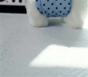Almohadillas de entrenamiento para perros, Almohadillas para orinar para perros, Almohadillas para orinar para perros, Almohadillas para cajas de perros