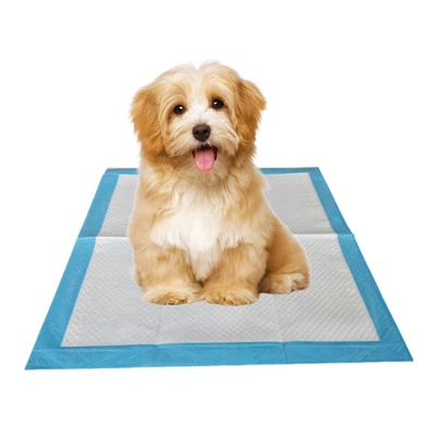 Almohadillas desechables para ir al baño para mascotas con control de olores antibacterianos
