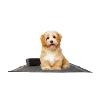 Almohadilla para ir al baño de bambú disponible para mascotas de carbón de leña de absorción de 2000 ml