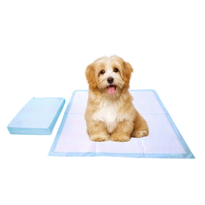 Almohadillas desechables para ir al baño para perros-resistentes a masticar