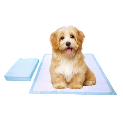 Almohadillas higiénicas desechables-resistentes a masticar para perros